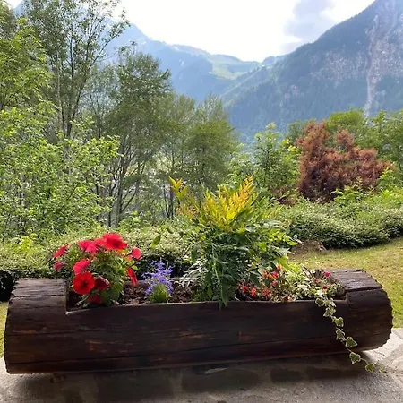 Alpstuga Relais - Fiore Di Bosco - Mont Blanc - Italia *
